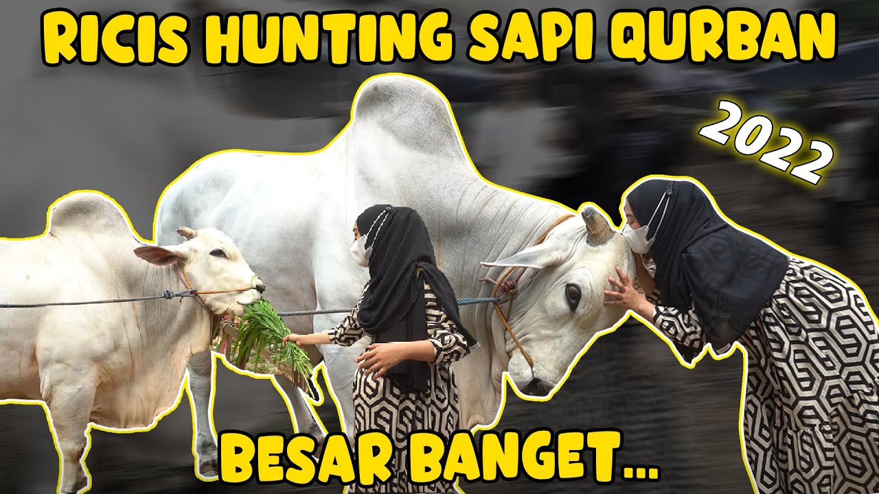 Raya Idul Adha Harus Semarak Dirayakan Dengan Makan Daging