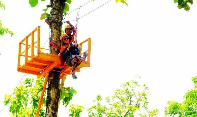 Aktivitas Menyenangkan Di Taman Olba Yang Dapat Anda Lakukan