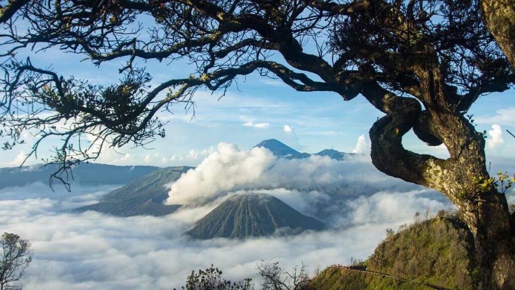 Pendakian Gunung Buthak Via Panderman Wajib Registrasi