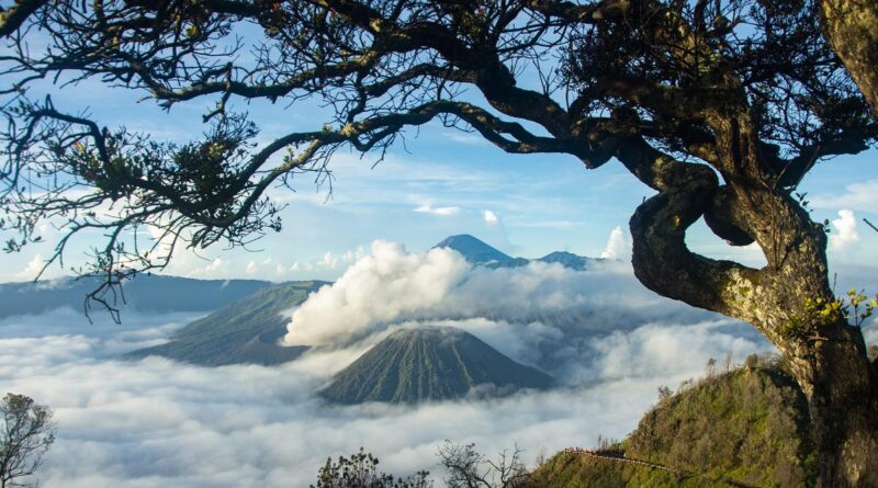 Pendakian Gunung Buthak Via Panderman Wajib Registrasi