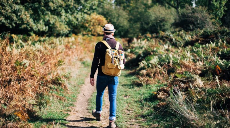 Perjalanan Menelusuri Jejak Petualangan Backpacker