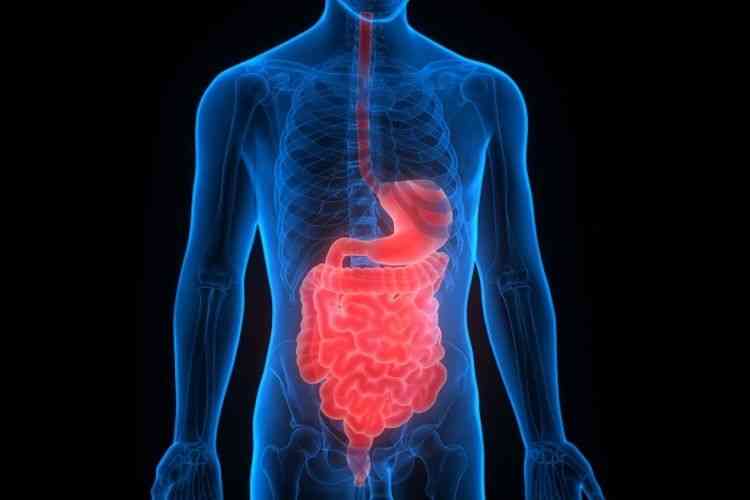 Menjaga Kesehatan Pencernaan Dengan Kebiasaan Sederhana