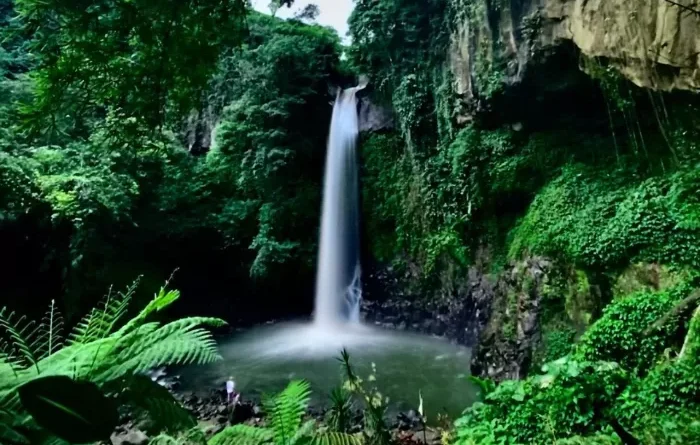 Coban Jahe Malang: Keindahan Air Terjun Memukau