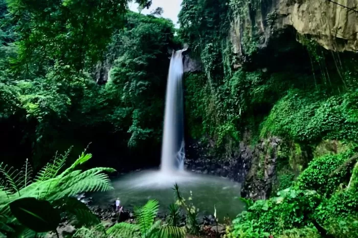 Coban Jahe Malang: Keindahan Air Terjun Memukau