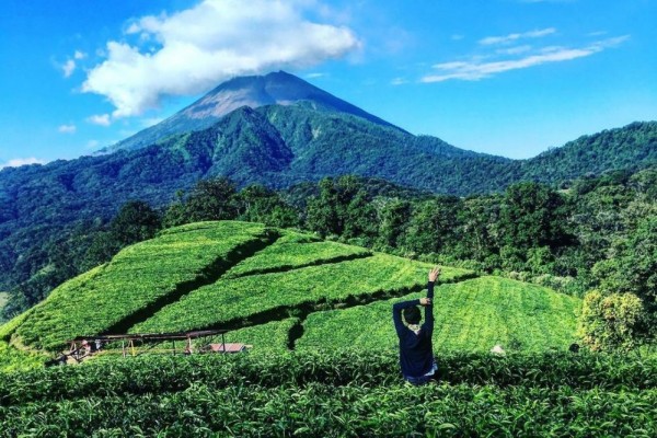 Referensi Destinasi Kaki Gunung Slamet Yang Bisa Di Kunjungi