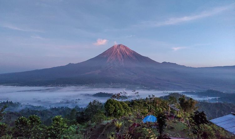 Simbar Semeru Camping: Daya Tarik dan Tips Berkunjung