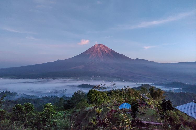 Simbar Semeru Camping: Daya Tarik dan Tips Berkunjung