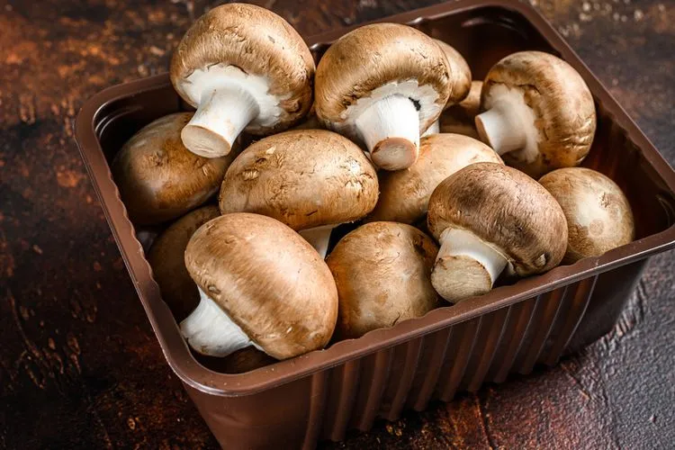 Keunikan Jamur Laut Dalam Dunia Kuliner Modern