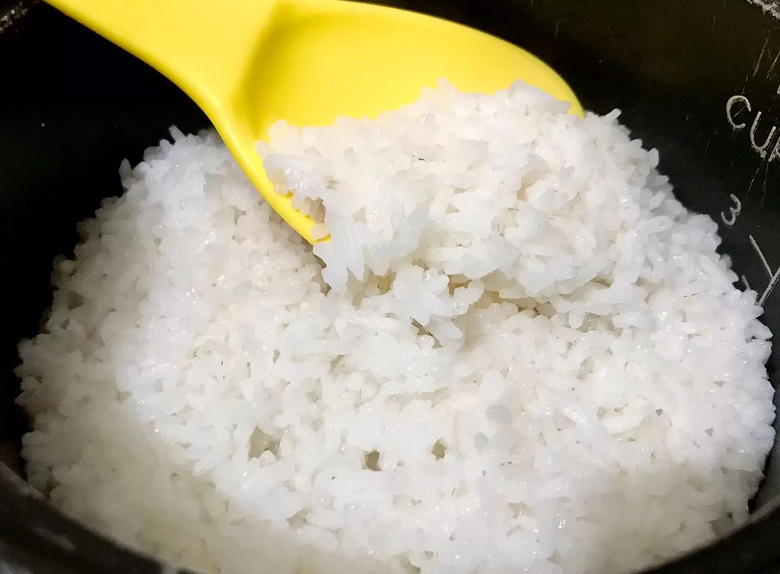 Nasi Bau Apek: Tips Ampuh Mengatasinya Dengan Mudah