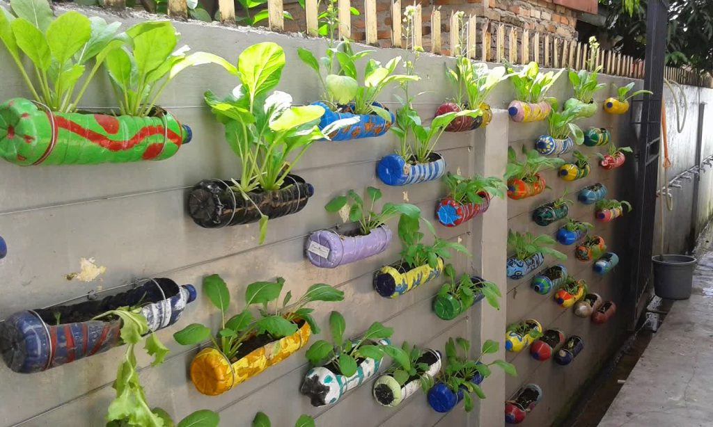 Teknik Optimalisasi Budidaya Tanaman Hias Yang Tepat