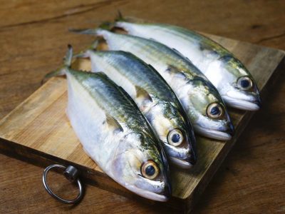 Rekomendasi 4 Ikan Ekonomis Dan Bergizi Tinggi