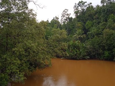 Ancaman Ekologis Yang Sering Terabaikan Di Lingkungan Perairan