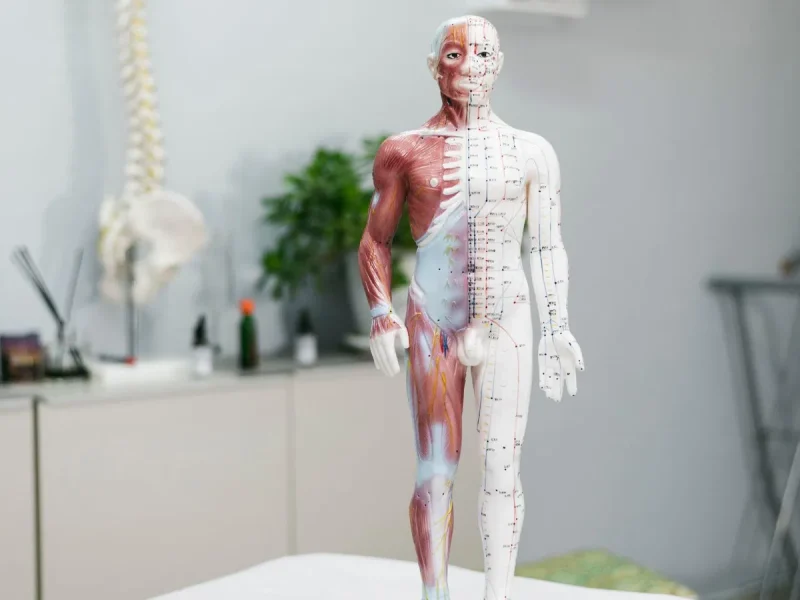 Penanganan Cedera Muskuloskeletal Akibat Aktivitas Olahraga