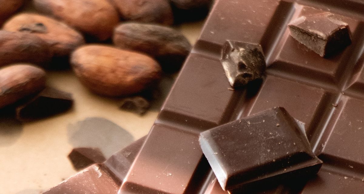 Cokelat Ini Ternyata Punya Manfaat Antipenuaan Ini Penjelasannya