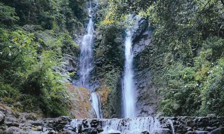 Curug Cilember, Keindahan Tersembunyi di Tengah Hutan Pinus