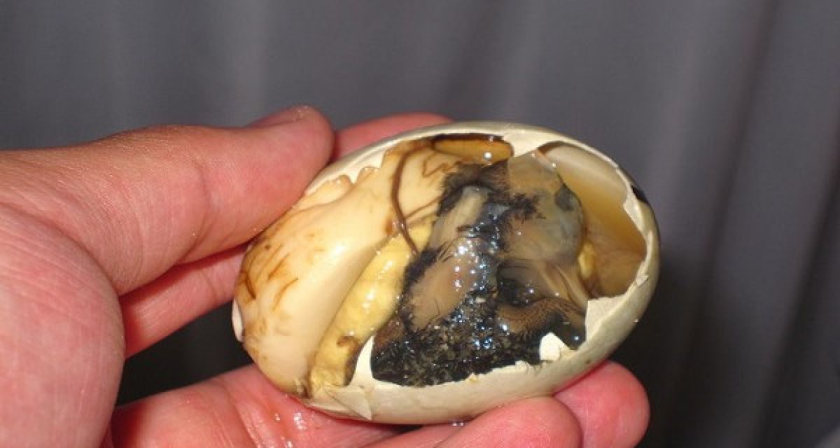 Mencicipi Makanan Unik Balut Dari Filipina Yang Kontroversi