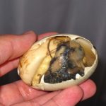 Mencicipi Makanan Unik Balut Dari Filipina Yang Kontroversi