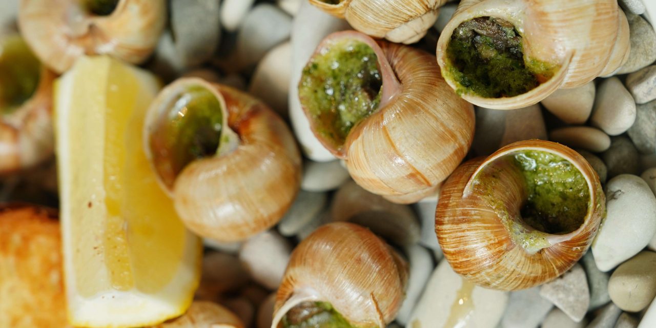 Kelezatan Escargot Cita Rasa Gurih Kuliner Klasik Prancis