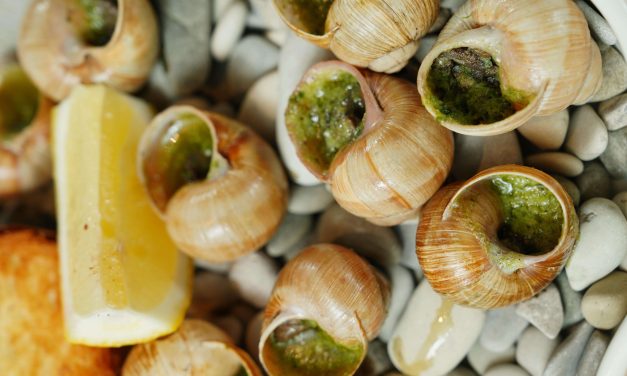 Kelezatan Escargot Cita Rasa Gurih Kuliner Klasik Prancis