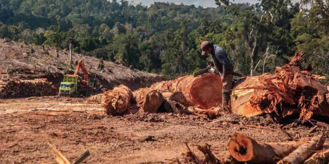 Respons Ekologis Flora Dan Fauna Pegunungan Suhu Berubah