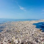 Upaya Menyelamatkan Perairan Dari Ancaman Sampah Plastik