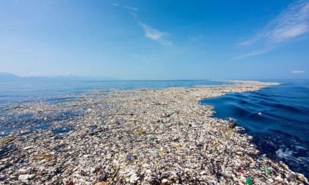 Upaya Menyelamatkan Perairan Dari Ancaman Sampah Plastik