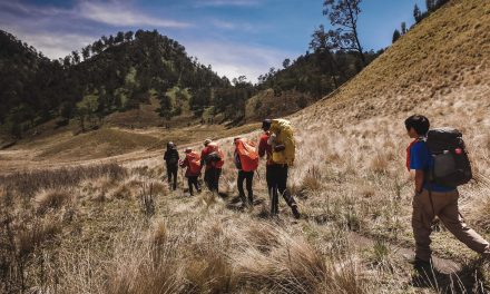 Manfaat Hiking Untuk Lepas Dari Stres Dan Dekat Dengan Alam