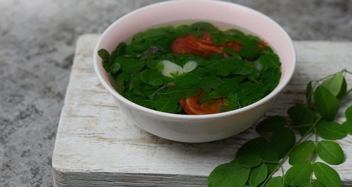 Manfaat Daun Kelor Untuk Kulit Yang Cerah Dan Awet Muda
